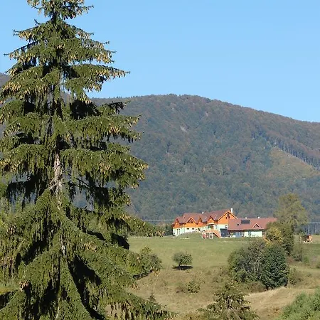Kraliky * Banská Bystrica